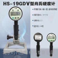 肖氏硬度計 HS-19GDV